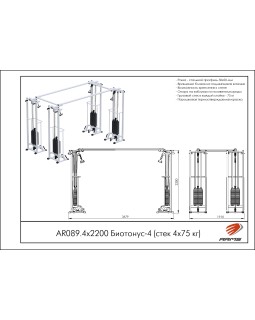 AR089.4х2200 Биотонус-4 (стек 4х75 кг)-foto2