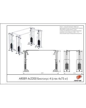AR089.4х2200 Биотонус-4 (стек 4х75 кг)-foto2
