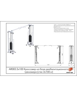 AR083.2х100 Кроссовер на базе реабилитационного тренажера-foto2