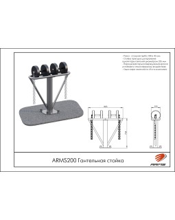 ARMS200 Гантельная стойка-foto2