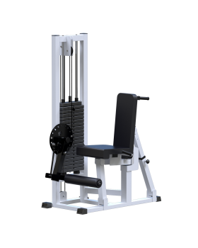 AR053.2 Сгибание-разгибание ног (стек 100 кг)