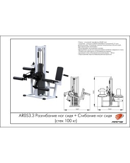 AR053.3 Разгибание ног сидя + Сгибание ног сидя (стек 100 кг)-foto2