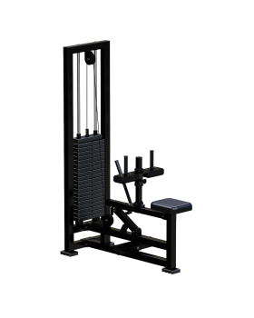 ARM022.3 Голень станок сидя-foto2