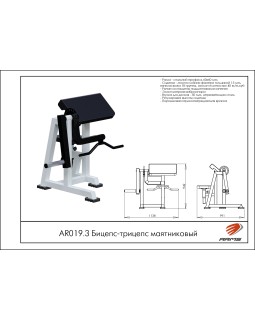 AR019.3 Бицепс-трицепс маятниковый-foto2