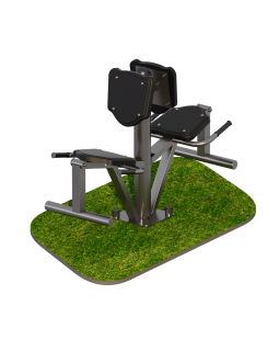 ARMS067.1 Разгибание ног двойной