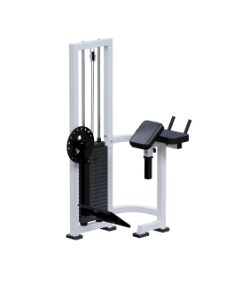 AR039.1 Глют-машина (стек 100кг)