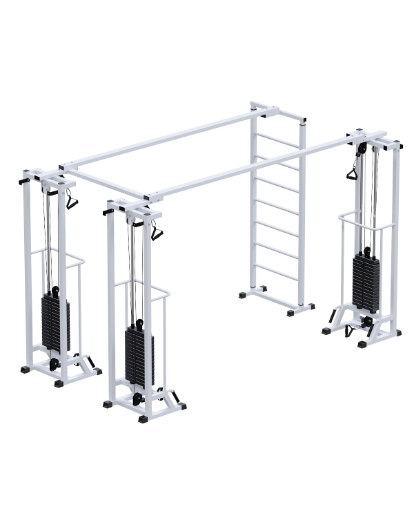 AR087.3х2400 Биотонус-3+шведская стенка (стек 3х100кг) AR087.3х2400 Биотонус-3+шведская стенка (стек 3х100кг)