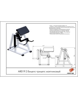 AR019.3 Бицепс-трицепс маятниковый-foto2