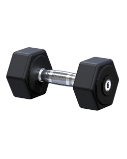 GG06 Гантель гексагональная 6кг