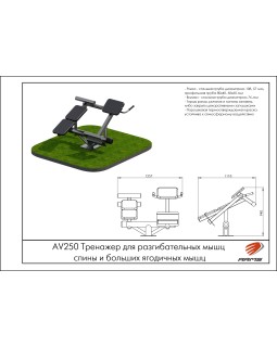 AV250 Тренажер для разгибательных мышц спины и больших ягодичных мышц-foto2