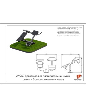 AV250 Тренажер для разгибательных мышц спины и больших ягодичных мышц-foto2