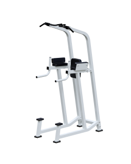 AR031.1 Пресс-брусья с турником