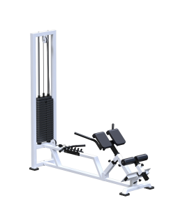 AR026.100 Гиперэкстензия (стек 100 кг)