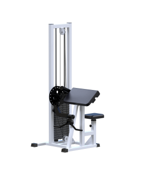 AR050 Бицепс Трицепс