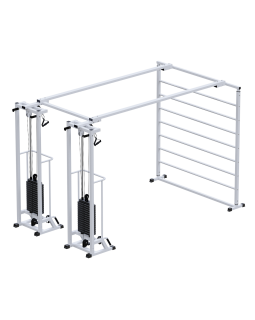 AR088.2х2200 Биотонус-2+шведская стенка