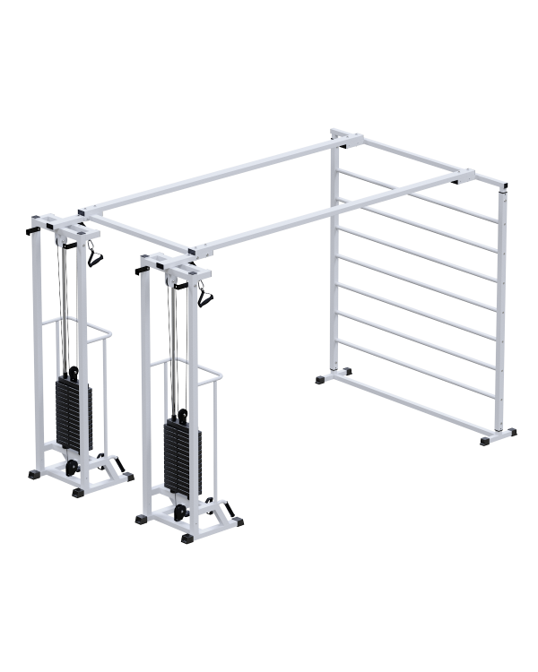 AR088.2х2200 Биотонус-2+шведская стенка