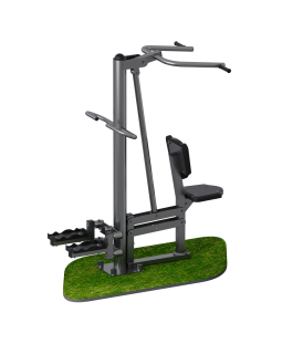 ARMS052.2 Вертикальная тяга + степпер