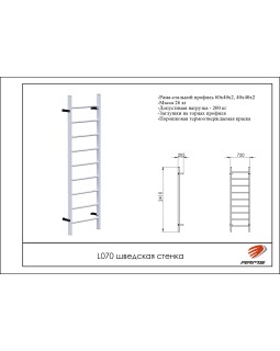 L070 Шведская стенка-foto2