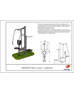 ARMS079 Жим сидя + маятник-foto2