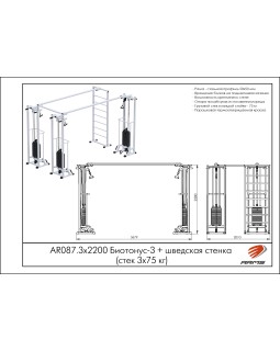 AR087.3х2200 Биотонус-3+шведская стенка-foto2