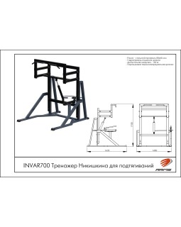 INVAR700 Тренажер Никишкина для подтягиваний-foto2