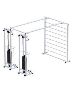 AR088.2х2400 Биотонус-2+шведская стенка (стек 2х100кг)