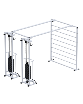 AR088.2х2400 Биотонус-2+шведская стенка (стек 2х100кг)