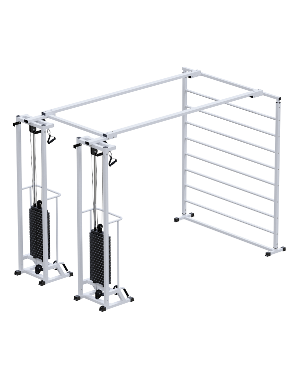 AR088.2х2400 Биотонус-2+шведская стенка (стек 2х100кг)