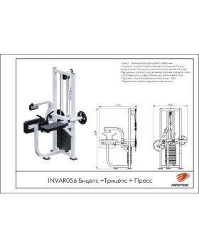 INVAR056 Бицепс +Трицепс + Пресс-foto2