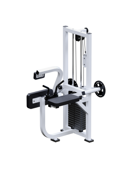 INVAR056 Бицепс +Трицепс + Пресс