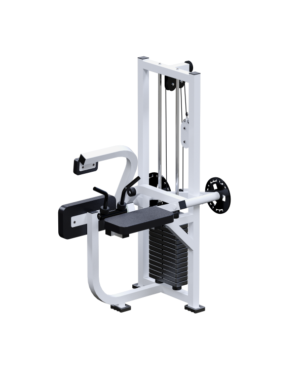 INVAR056 Бицепс +Трицепс + Пресс INVAR056 Бицепс +Трицепс + Пресс