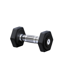 GG01 Гантель гексагональная 1кг