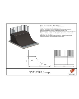SPM1003М Радиус-foto2