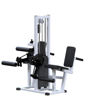 AR053.3 Разгибание ног сидя + Сгибание ног сидя (стек 100 кг)