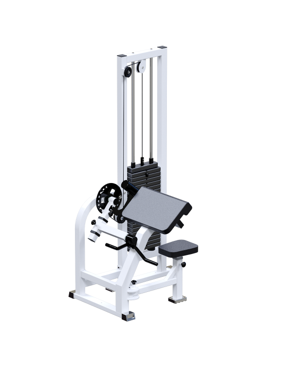 INVAR057 Бицепс-машина для инвалидов-колясочников INVAR057 Бицепс-машина для инвалидов-колясочников