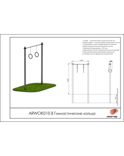 ARWOK010.8 Гимнастические кольца-foto2
