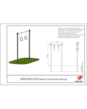 ARWOK010.8 Гимнастические кольца-foto2