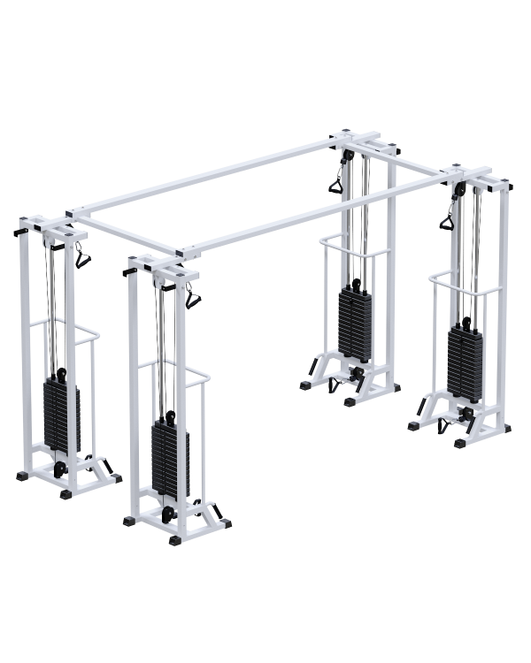 AR089.4х2200 Биотонус-4 (стек 4х75 кг)