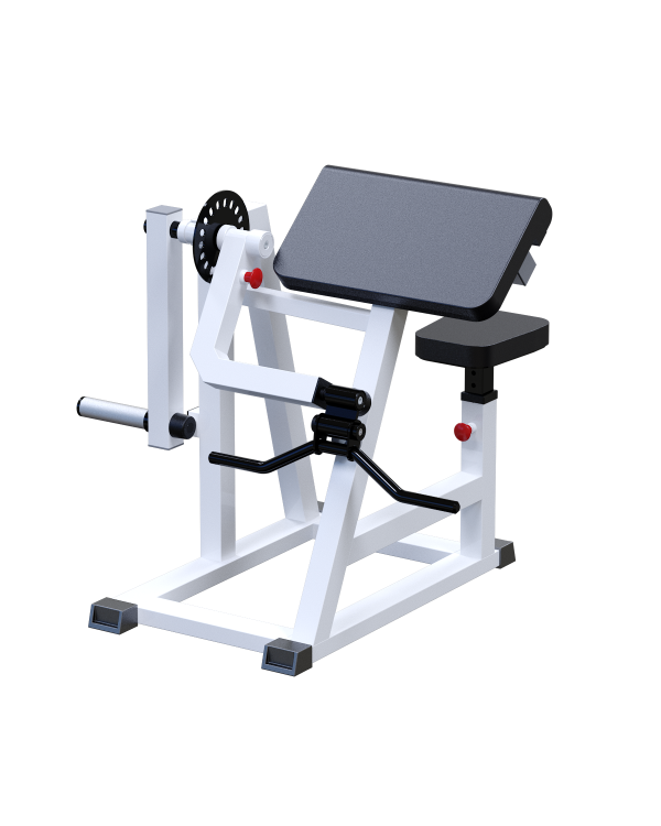 AR019.3 Бицепс-трицепс маятниковый