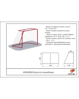 ARMS084 Ворота хоккейные-foto2