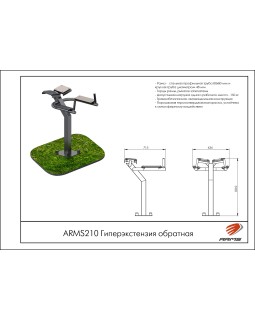 ARMS210 Гиперэкстензия обратная-foto2