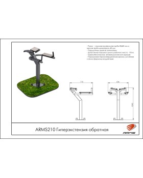 ARMS210 Гиперэкстензия обратная-foto2