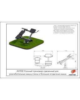 AV250 Уличный тренажер сдвоенный для разгибательных мышц спины и больших ягодичных мышц-foto2