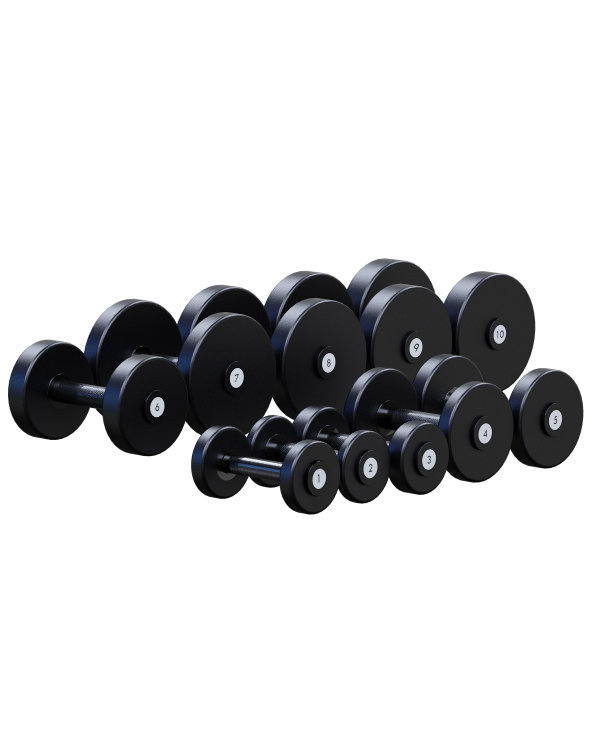 VSA1-10 Гантельный ряд 1-10кг, 10 пар (шаг 1кг) VSA1-10 Гантельный ряд 1-10кг, 10 пар (шаг 1кг)