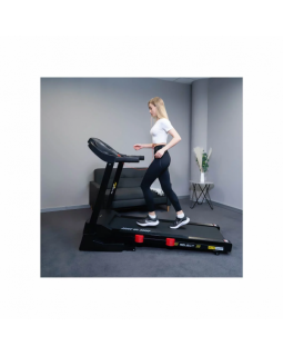 Беговая дорожка Altezani ALS 1300 А-foto6