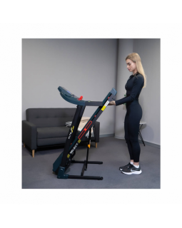 Беговая дорожка Altezani ALS1200 A-foto7